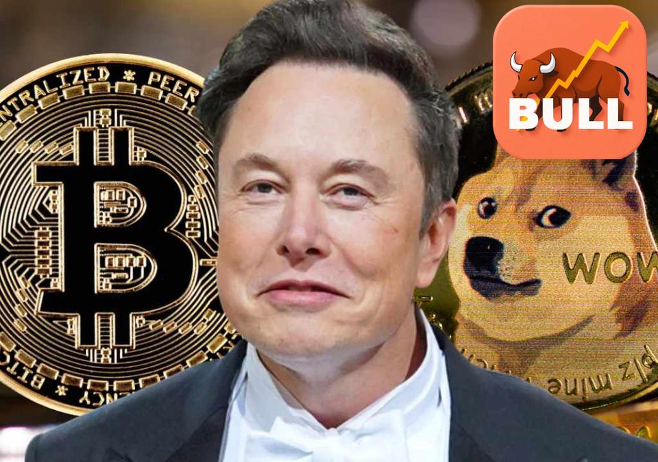  4551496 - CEO Change & Free Technical Pattern Based Buy Signals