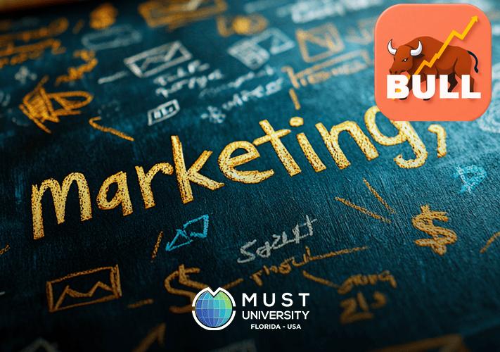  Is Shashank Traders Limited (540221) a Good Long Term Bet  - Monthly Overview 2025 & Analysts Are Loading Up on This Stock